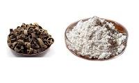 honokiol powder bulk - JIAHE.jpg